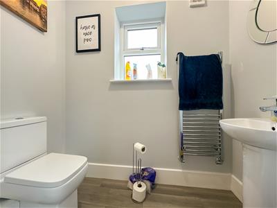 Picture 21